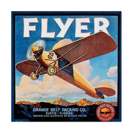 Trademark Fine Art Vision Studio 'Flyer' Canvas Art, 24x24 WAG01905-C2424GG